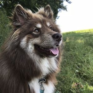 Meet your Posher, Raegan